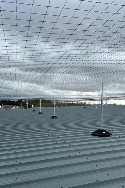 sdf-homepage-bird-control-netting