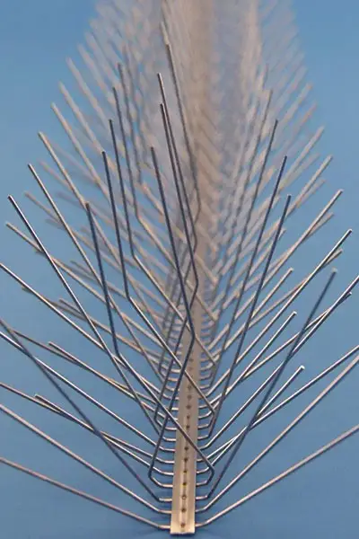 sdf-homepage-bird-proofing-spikes